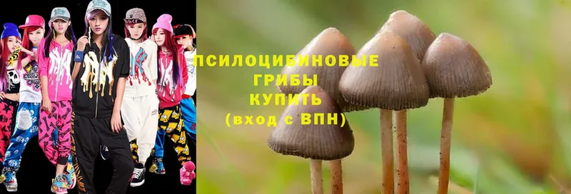 Галлюциногенные грибы Magic Shrooms  MEGA ссылки  маркетплейс телеграм  Кизилюрт 